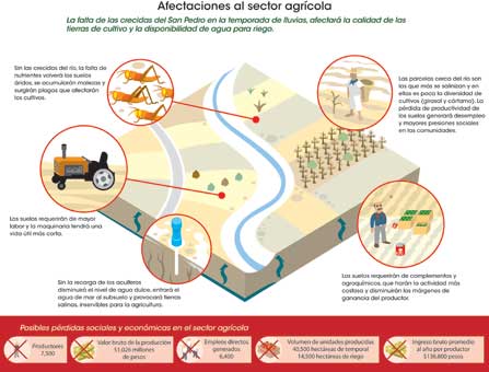 Diagrama de las afectaciones al sector agrícola