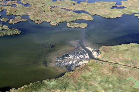 Imagen satelital de la delta del rio Colorado.