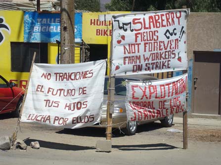 Protest banners in San Quintin