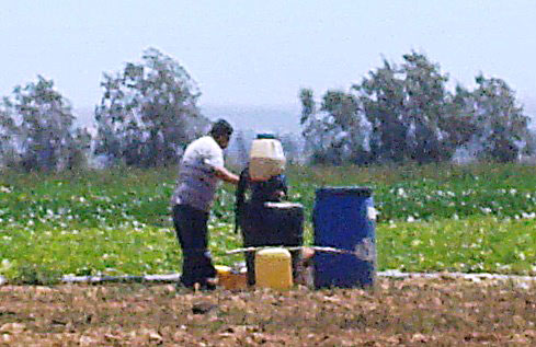 Worker spraying crops