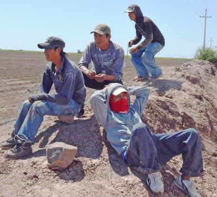 jornaleros